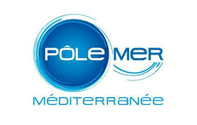 polemer